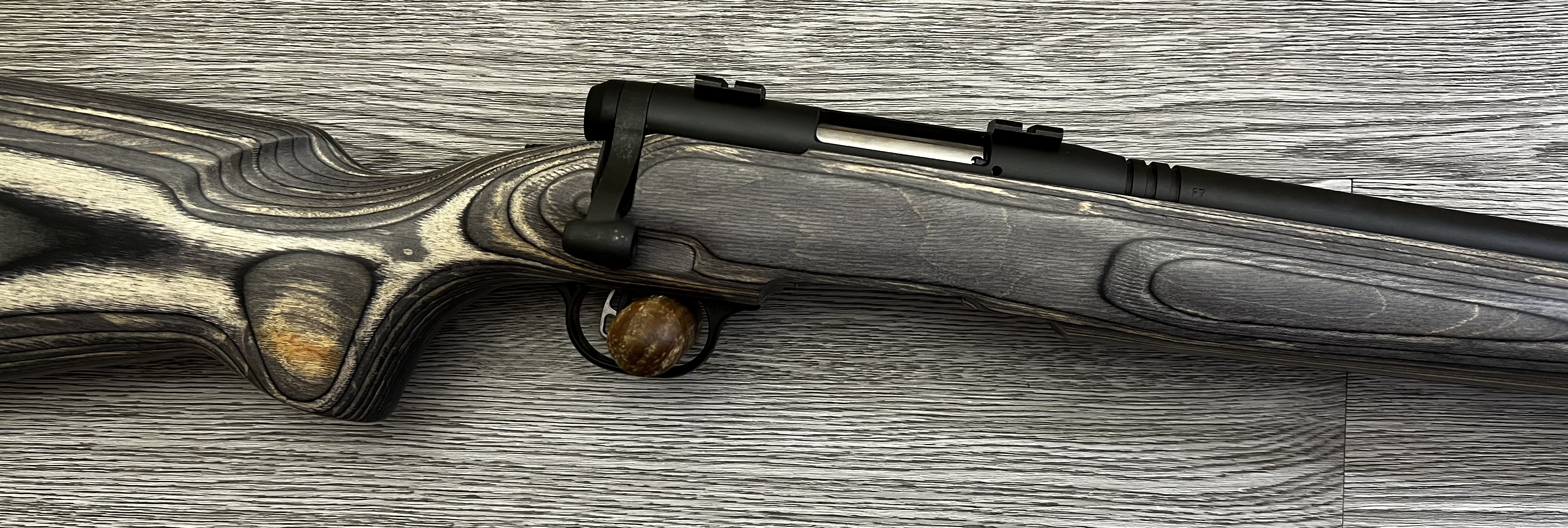 Savage Arms B- Mag
