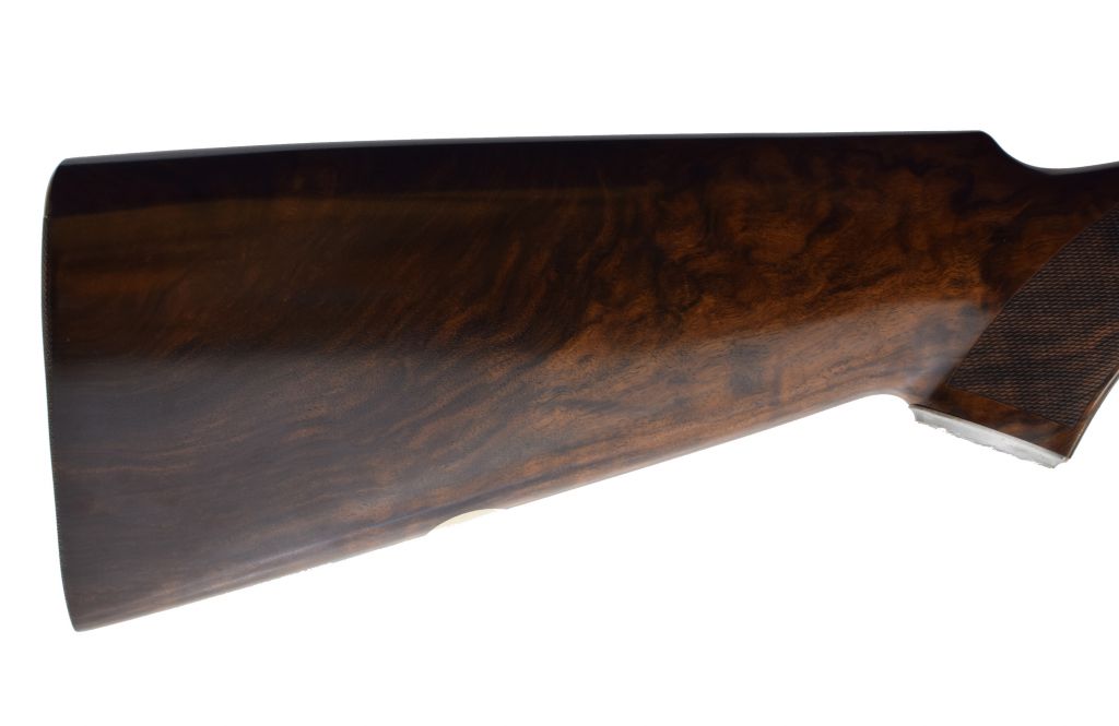 Rizzini, B. RB Regal Extra Gold