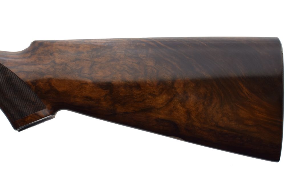 Rizzini, B. RB Regal Extra Gold