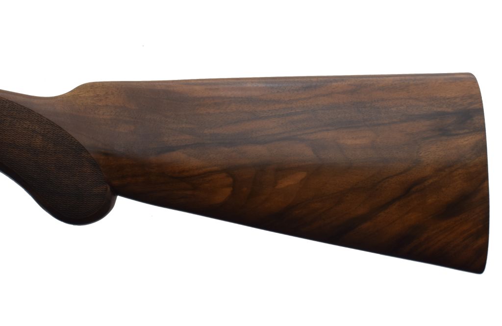Rizzini, B. Round Body Regal